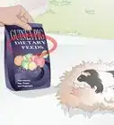 Feed a Guinea Pig a Well Balanced Meal