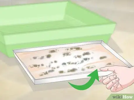 Image titled Clean a Cockatiel Habitat Step 13