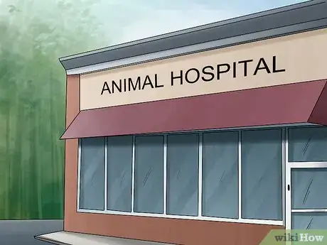 Image titled Know if You Are Ready for a Dog Step 10