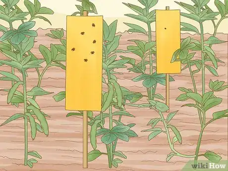 Image titled Reduce the Use of Pesticides in Farming Step 11