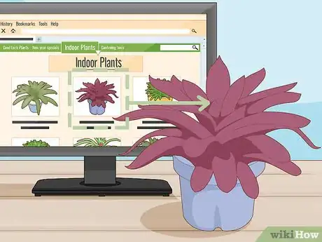 Image titled Identify a Houseplant Step 6