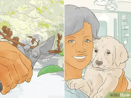 Image titled Choose a House Sitter Step 1