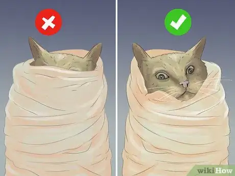 Image titled Capture an Angry or Upset Cat Step 9