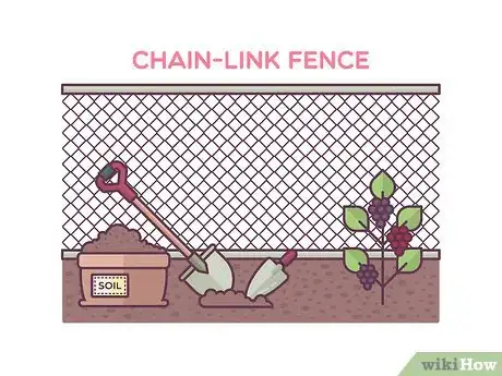 Image titled Grow Boysenberries Step 5