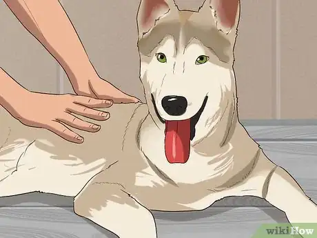 Image titled Holistically Care for a Dog Step 14