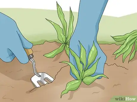 Image titled Plant a Rock Garden Step 4