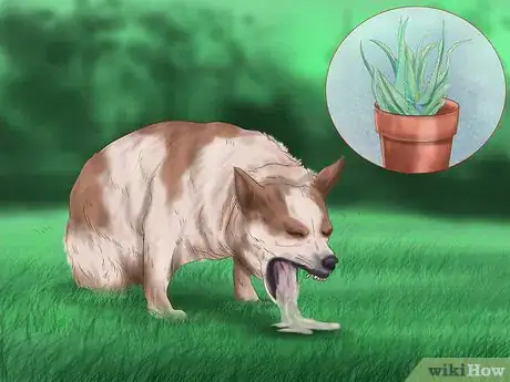 Image titled Make Your House a Better Place for Animals Step 3