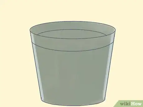 Image titled Grow a Pencil Tree (Euphorbia Tirucalli) Step 3