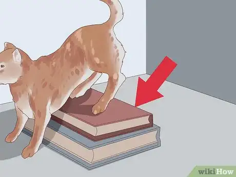 Image titled Get a Dog to Do a Handstand Step 4