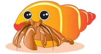 Draw a Hermit Crab
