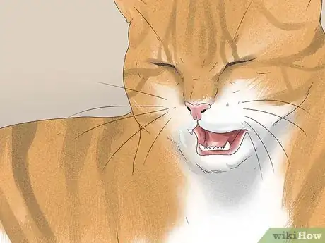 Image titled Diagnose a Cat Cough Step 3