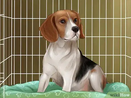 Image titled Know if You Are Ready for a Dog Step 44