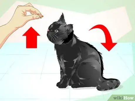 Image titled Train an Old Stubborn Cat to Do Tricks Step 10