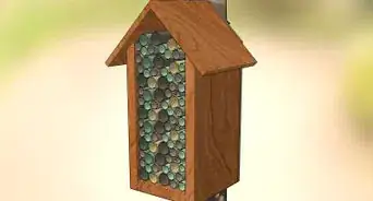 Help a Child Overcome a Fear of Bugs