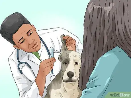 Image titled Adopt a Working Dog Step 17