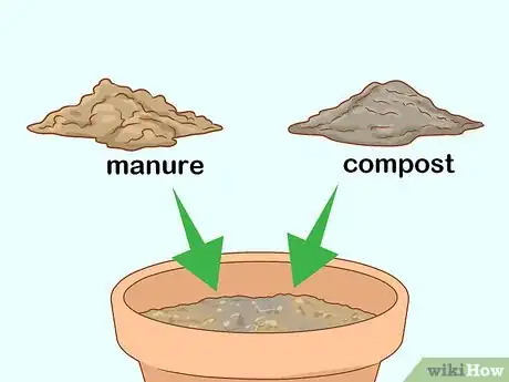 Image titled Grow Long Stem Roses at Home Step 11