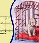 Buy a Puppy Crate