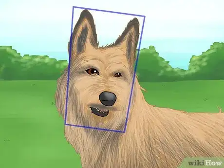 Image titled Identify a Berger Picard Step 2