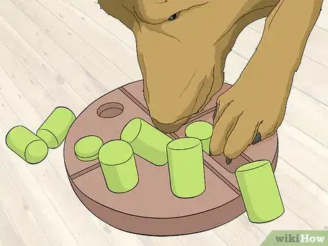 Image titled Engage in Healthy Play with Your Dog Step 5