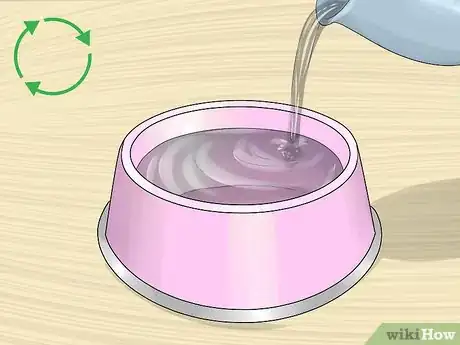 Image titled Keep a Pet Rat at a Healthy Weight Step 5