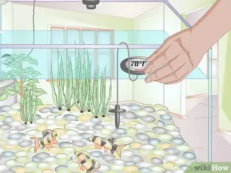Image titled Take Care of Freshwater Fish Step 14