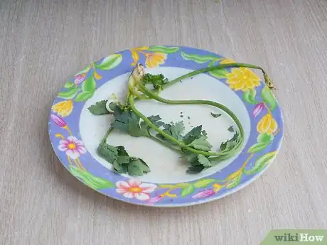 Image titled Juice Broccoli Sprouts Step 6