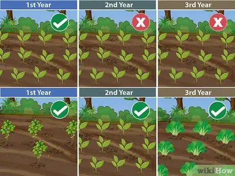 Image titled Plant Your First Garden Step 17