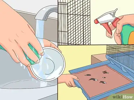 Image titled Treat Chlamydiosis in Cockatiels Step 10