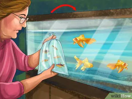 Image titled Keep Your Pet Occupied when You Are Not at Home Step 10