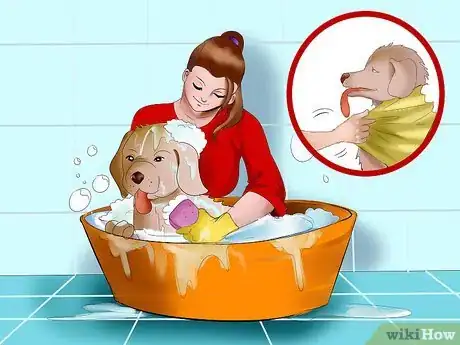 Image titled Protect Your Dog Around Backyard Pools Step 8