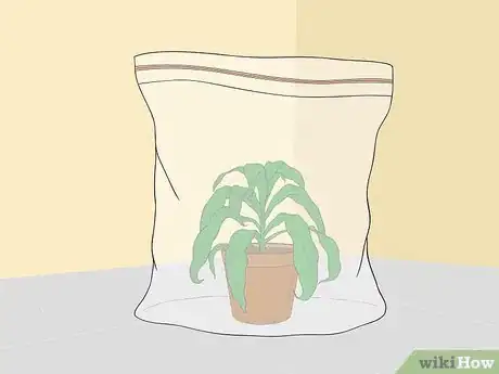 Image titled Revive a Wilted Herb Plant Step 6