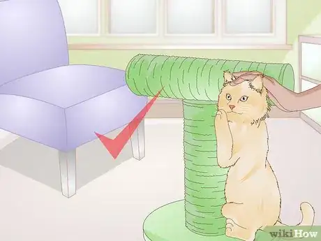 Image titled Use a Spray Bottle on a Cat for Training Step 11