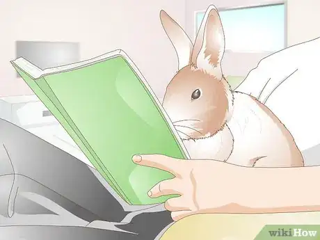 Image titled Care for Disabled Rabbits Step 16