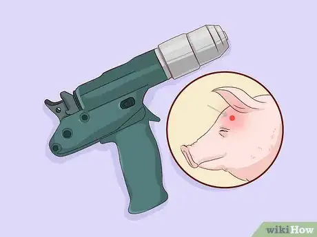 Image titled Raise Pigs for Meat Step 13