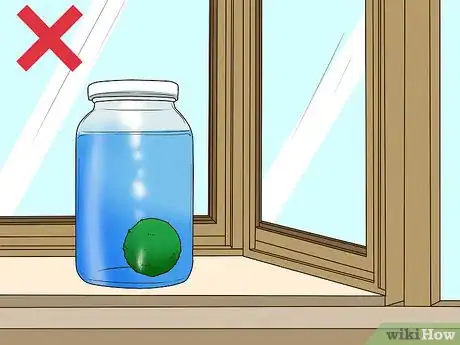 Image titled Care for Marimos Step 8