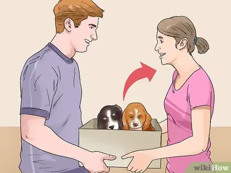 Image titled Breed Scottish Cocker Spaniels Step 19