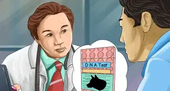 Identify an Affenpinscher