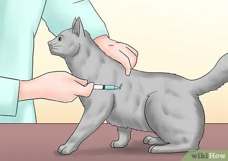 Image titled Care for a Cat with Kidney Failure Step 7