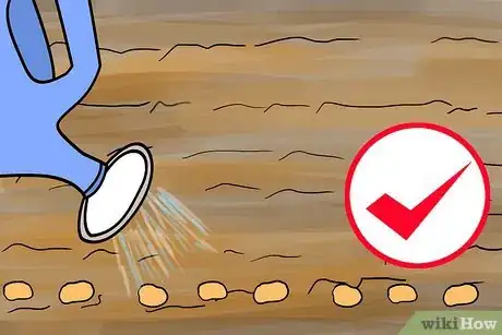 Image titled Grow Lisianthus Step 7