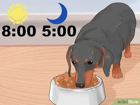 Image titled Improve the Appetite of an Older Dog Step 4