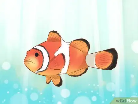 Image titled Choose Good Tankmates for Seahorses Step 7