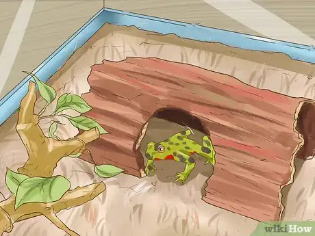 Image titled Care for Fire Belly Toads Step 10