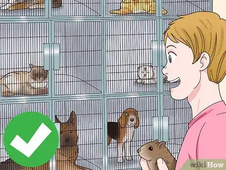 Image titled Choose a Vet for Your Gerbil Step 16