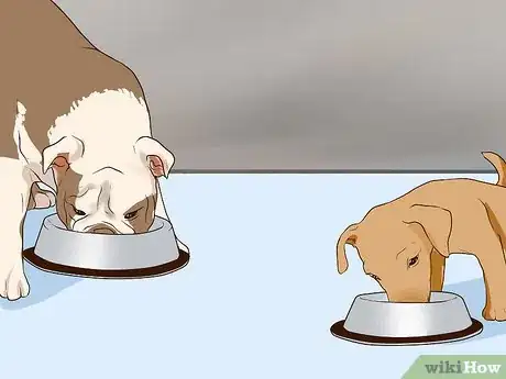 Image titled Introduce a Puppy to a Senior Dog Step 8
