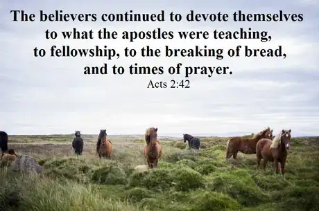 Image titled Acts 2v42.png