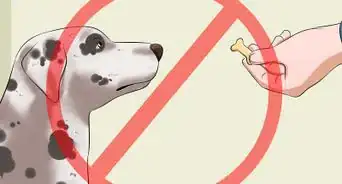 Teach Your Dog to Speak