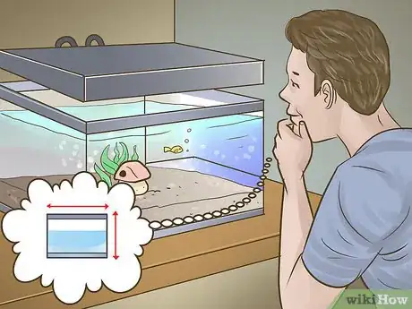 Image titled Pick Freshwater Plants Step 1