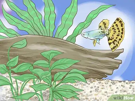 Image titled Pick Freshwater Plants Step 12