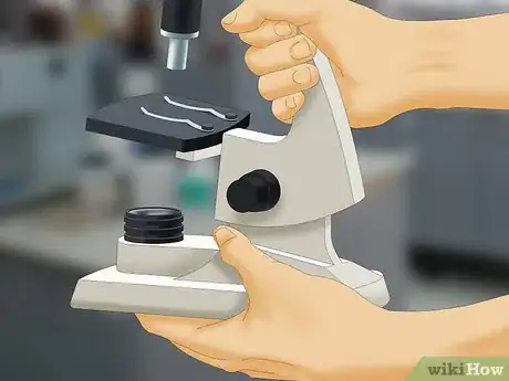 Image titled Use a Microscope to Observe Microorganisms Step 10