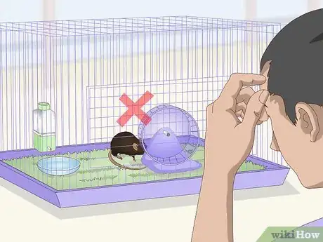 Image titled Safely Let a Mouse Out of Its Cage Step 9